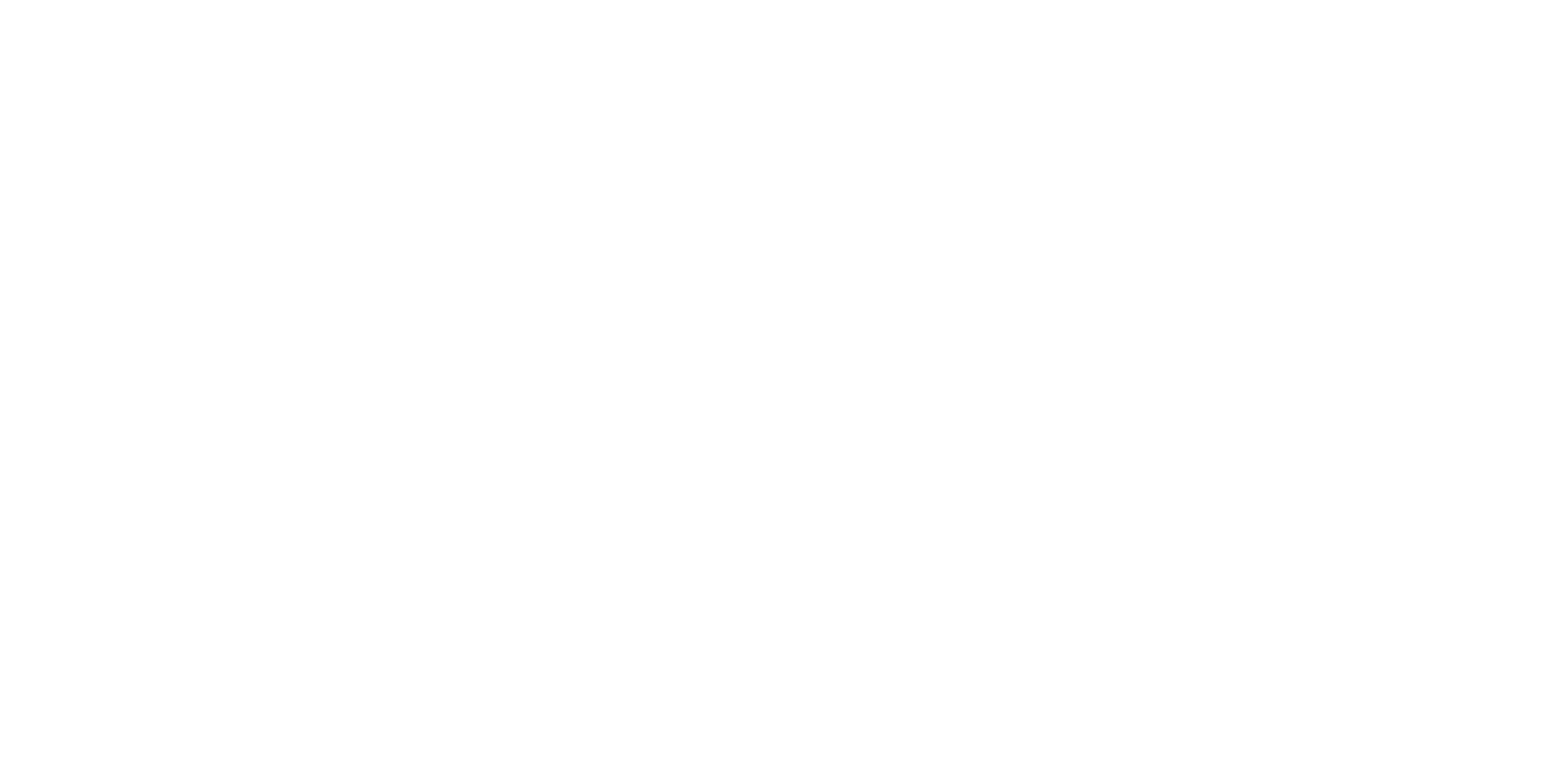 Барс лесных дорог