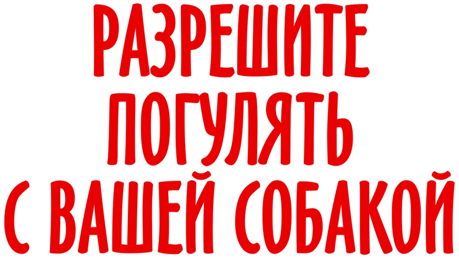 Разрешите погулять с вашей собакой