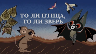 То ли птица, то ли зверь