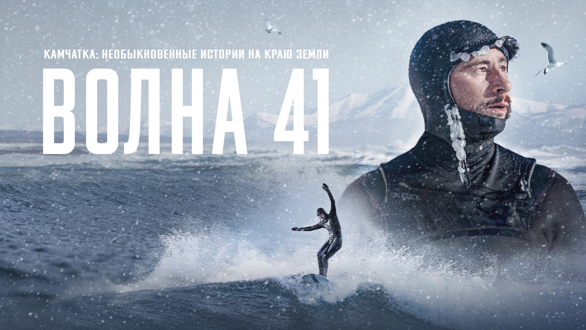 Волна 41