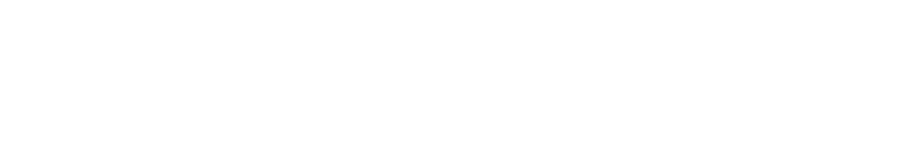 13 жизней