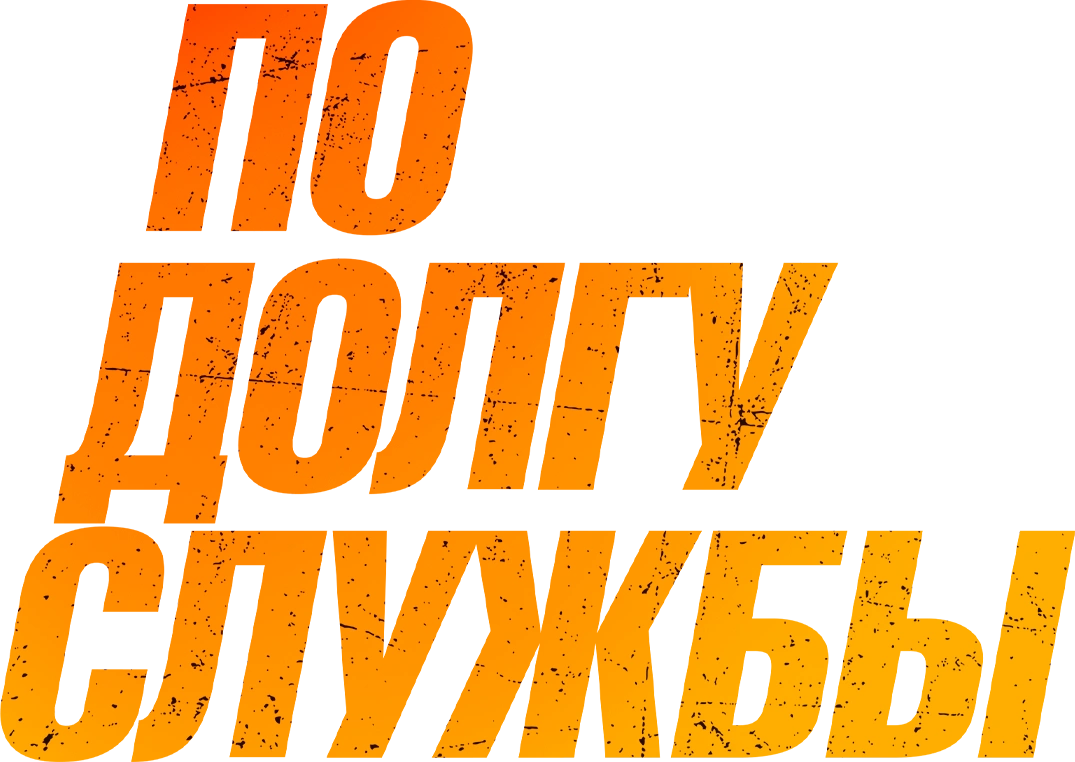 По долгу службы (2019)