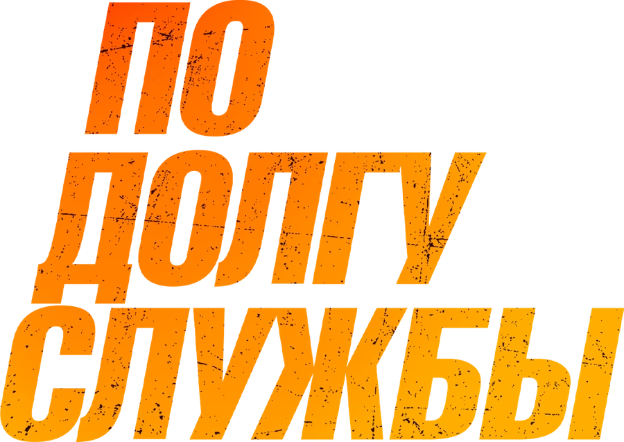 По долгу службы (2019)