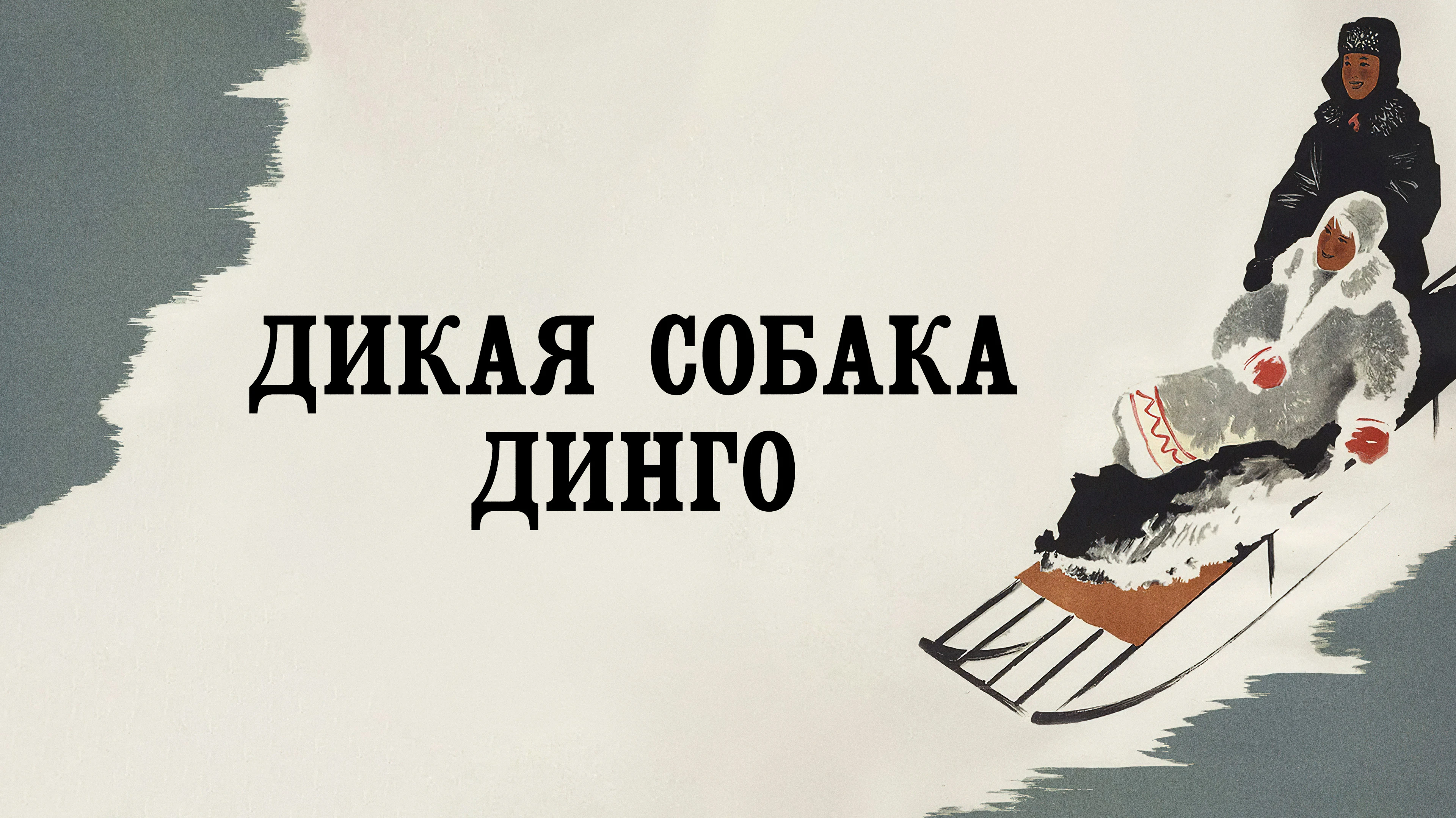 Дикая собака Динго