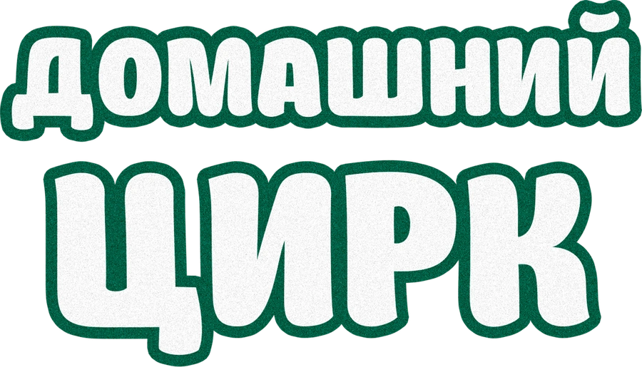 Домашний цирк
