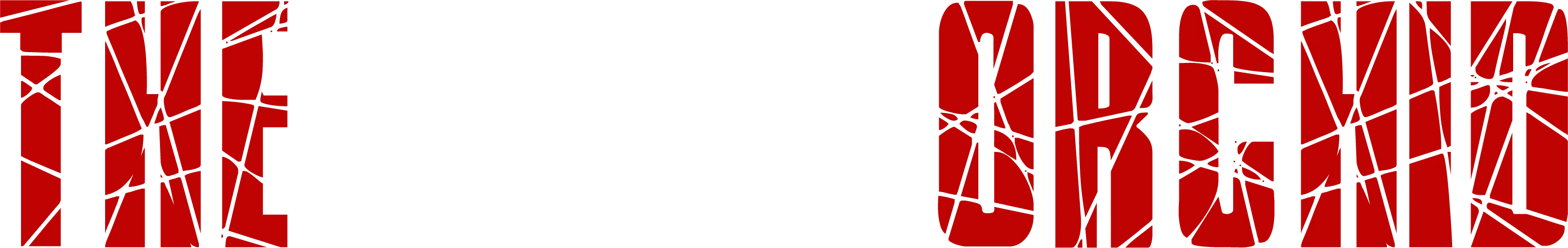 Белая орхидея
