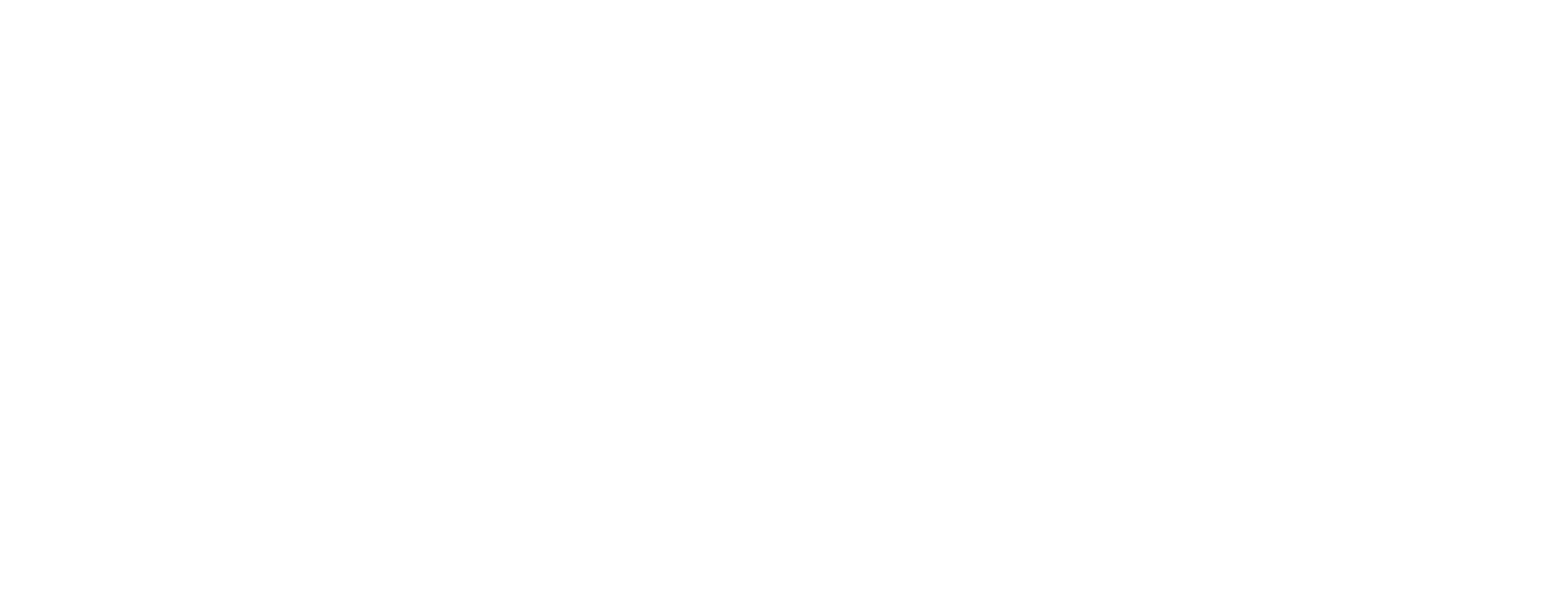 Живая игрушка