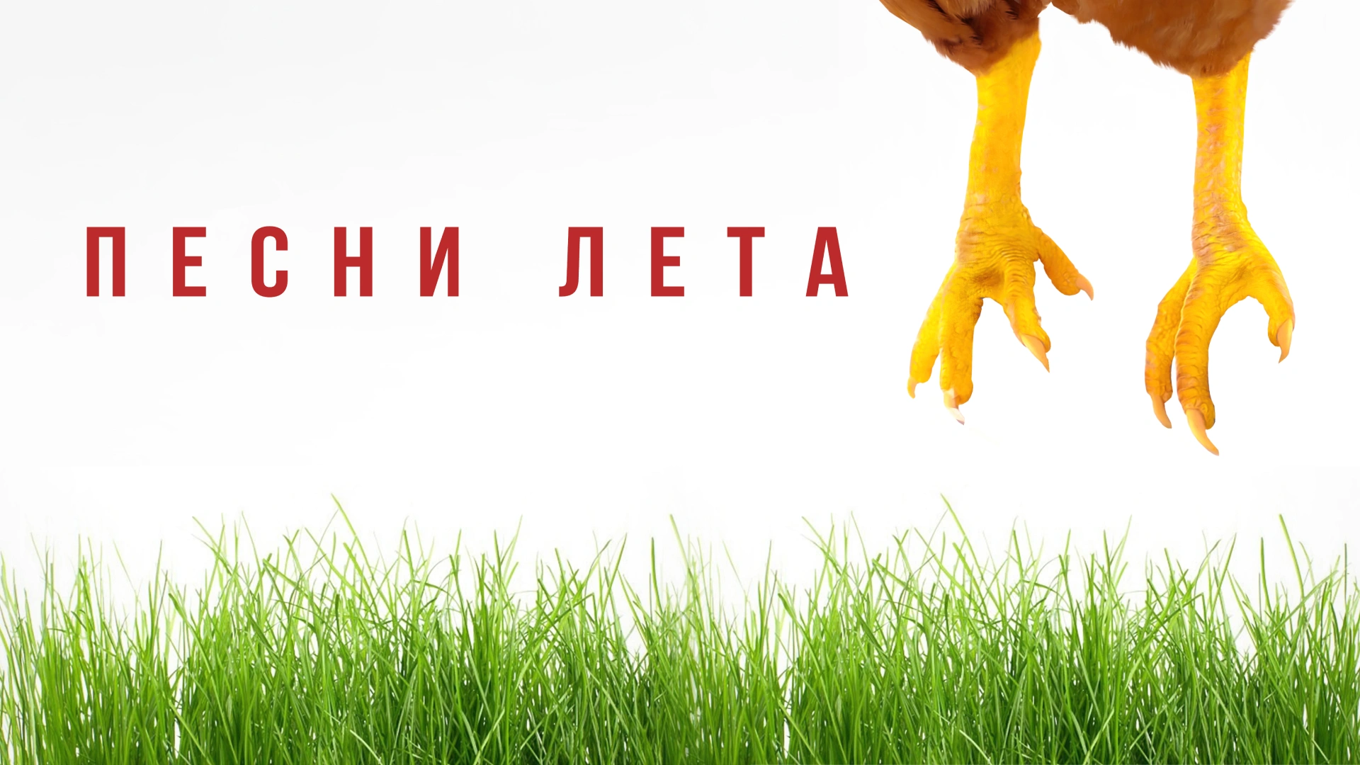 Песни лета