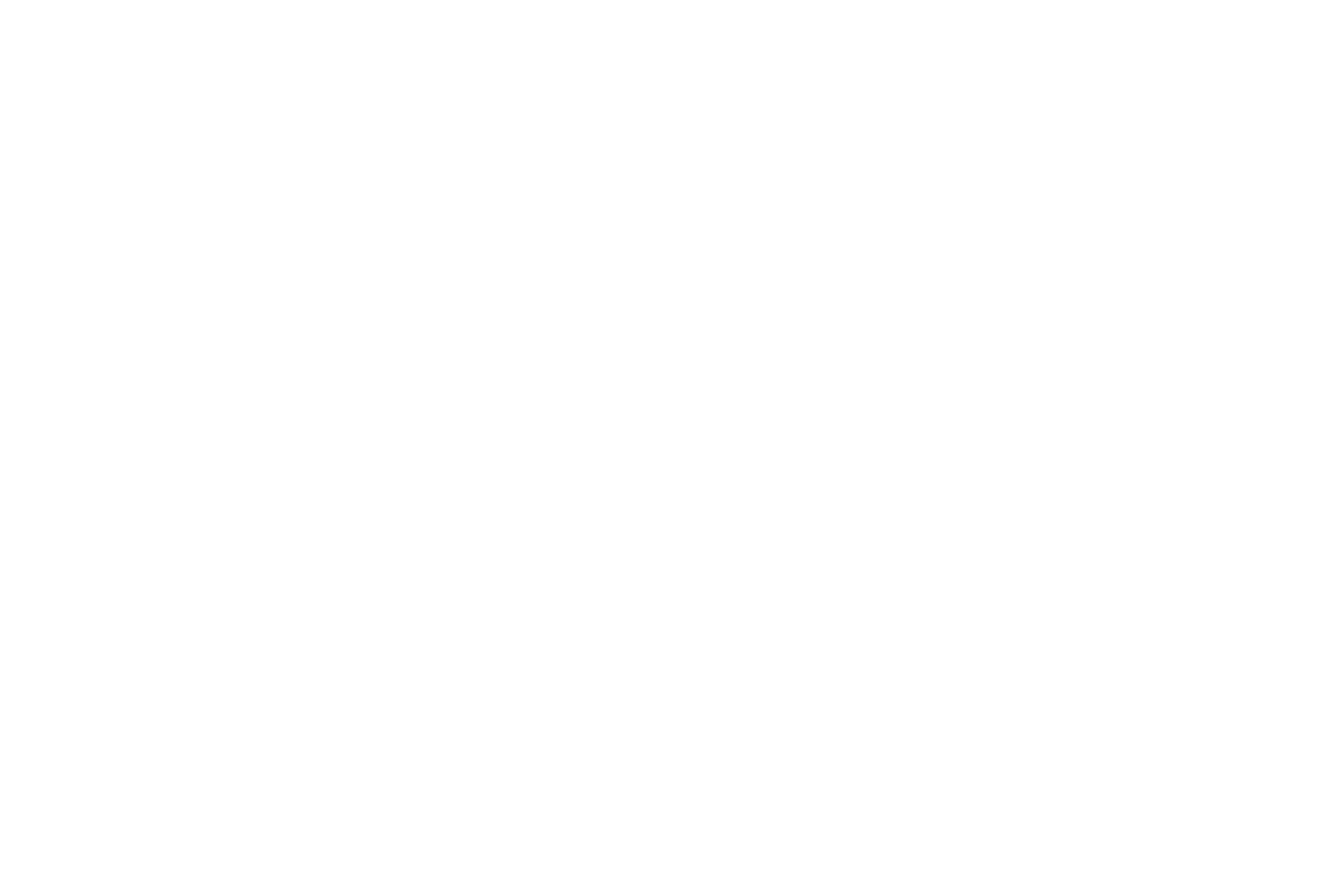 Пёс и кот