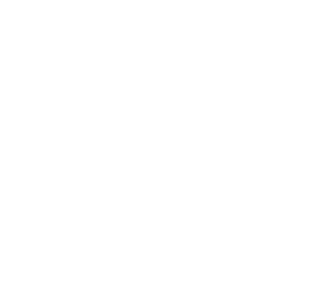 Анна Каренина. История Вронского