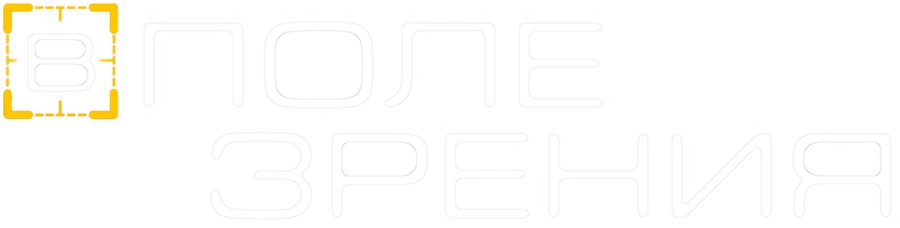 В поле зрения