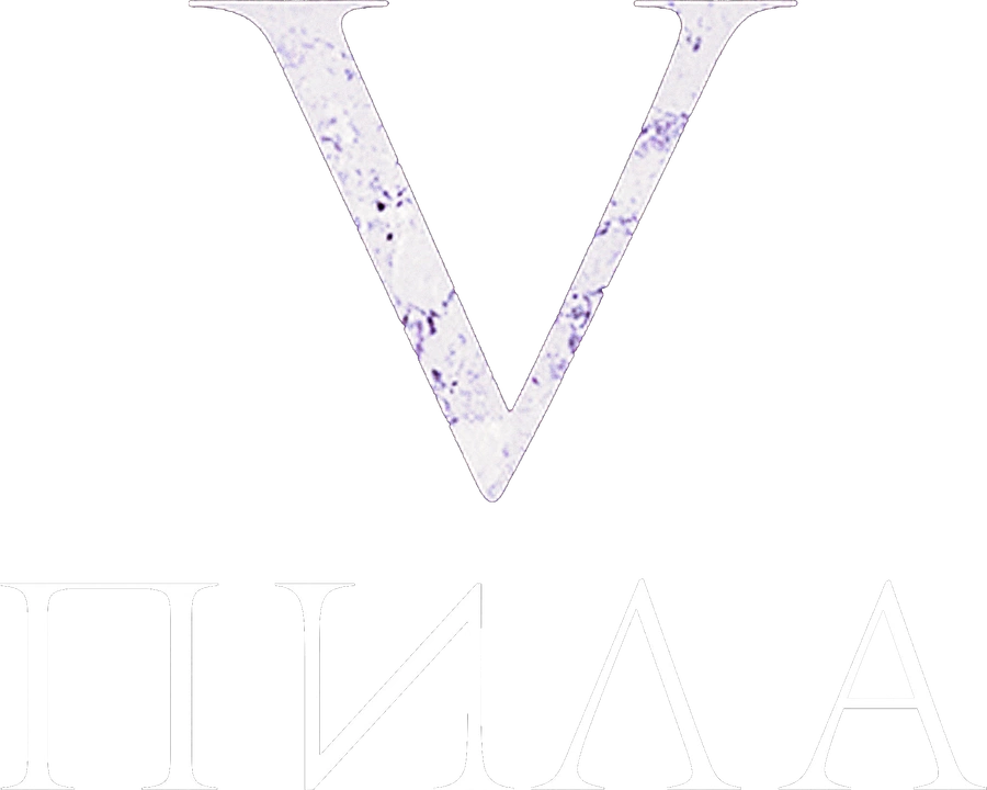Пила 5
