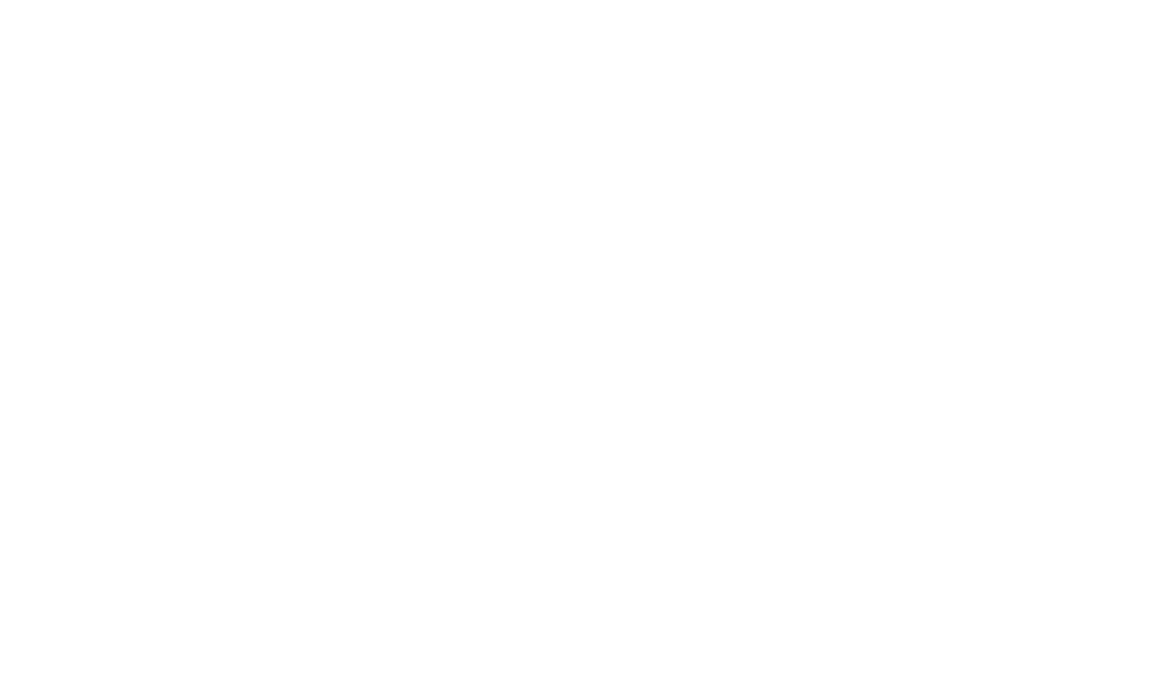 Наследство волшебника Бахрама