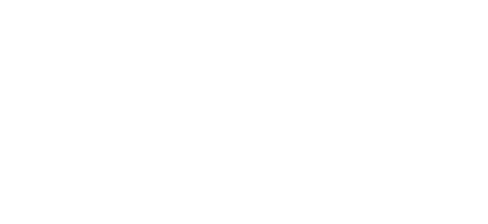 Смерть шпионам!