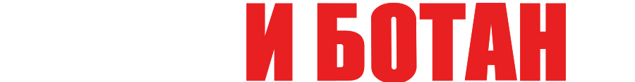 Мачо и ботан 2
