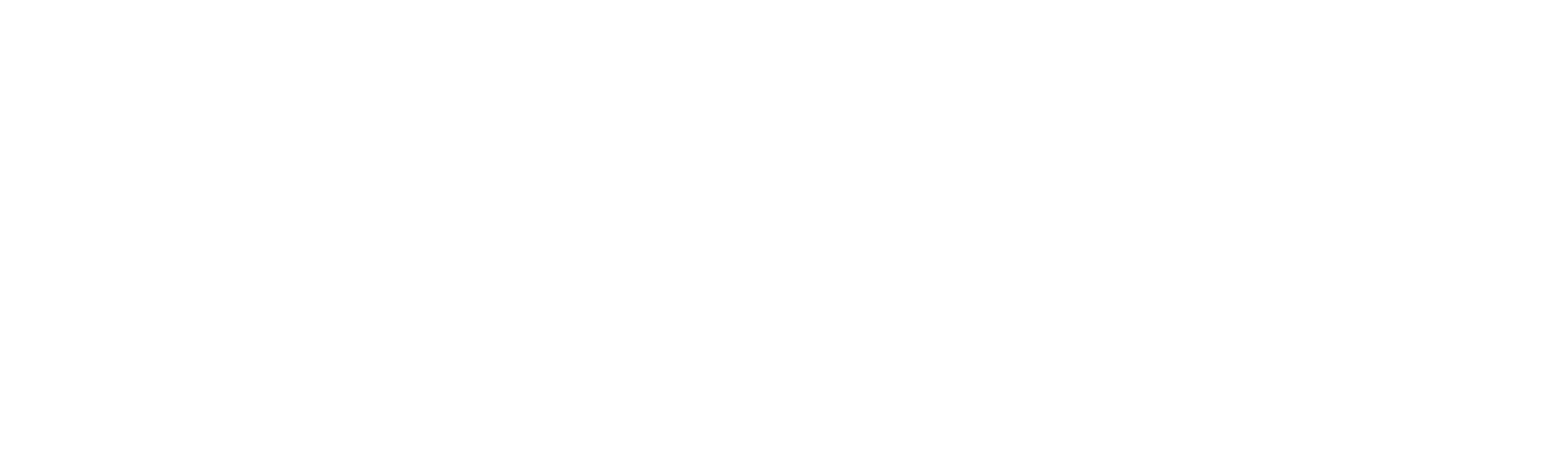 Дневник психопата