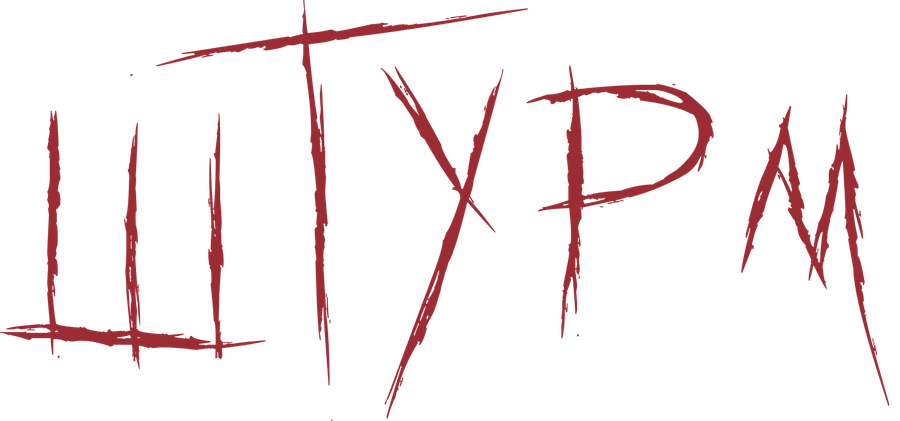Штурм