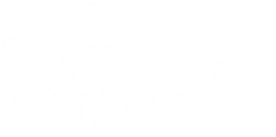 Шелк