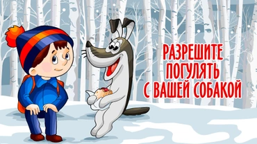Разрешите погулять с вашей собакой