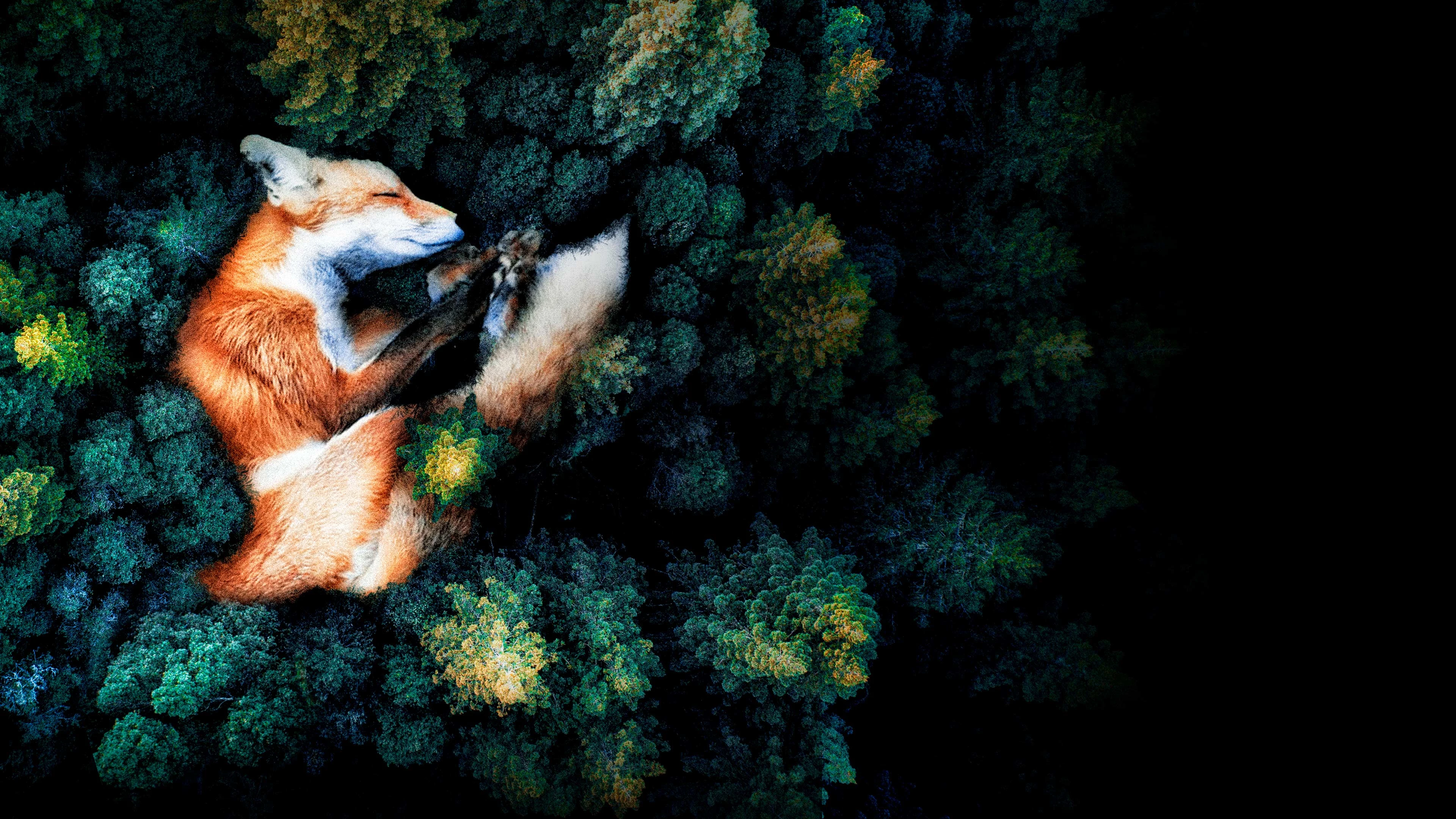 Смотреть фильм Сердце мира в хорошем качестве онлайн на сайте PREMIER.ONE