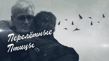 Перелётные птицы