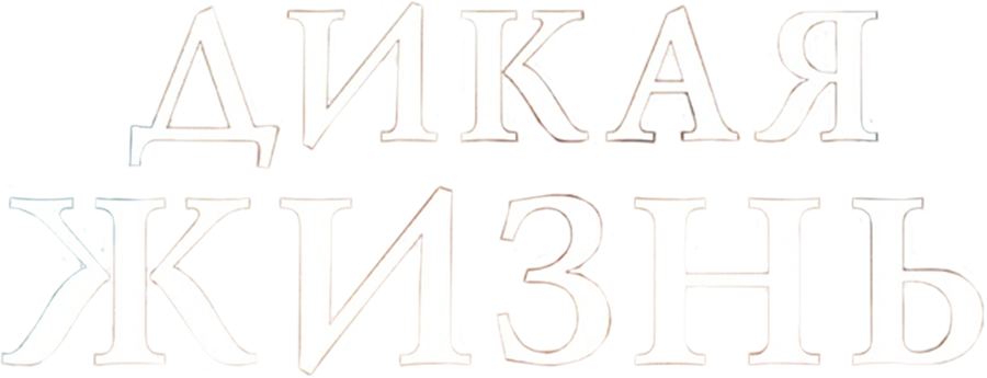 Дикая жизнь