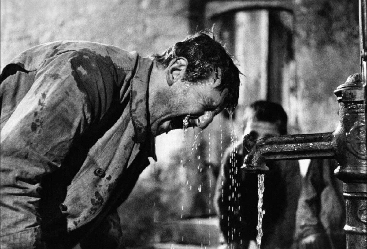 Ноэль Фортюна