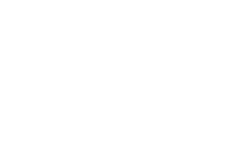 Сколько весит троянский конь?