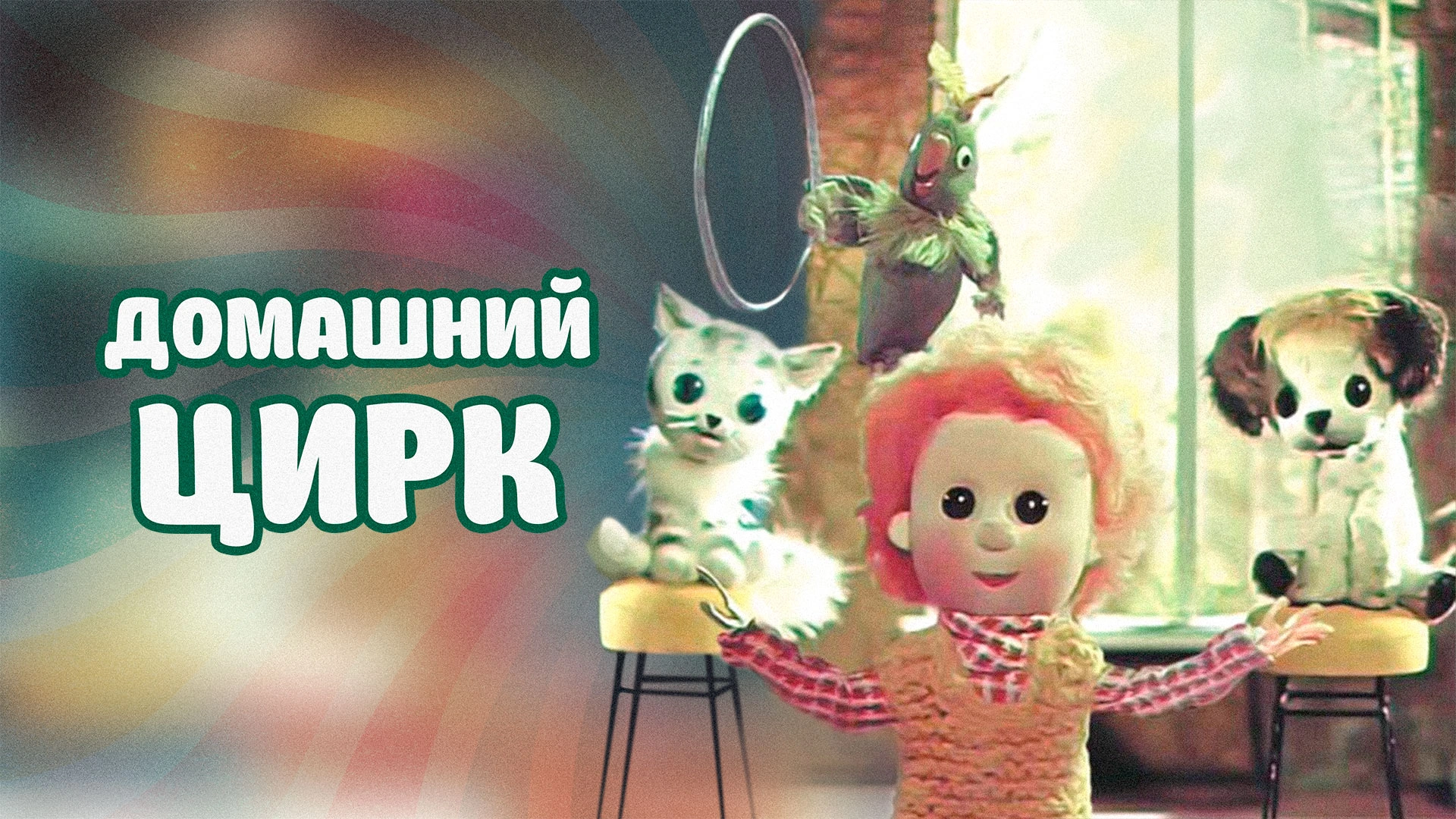 Домашний цирк