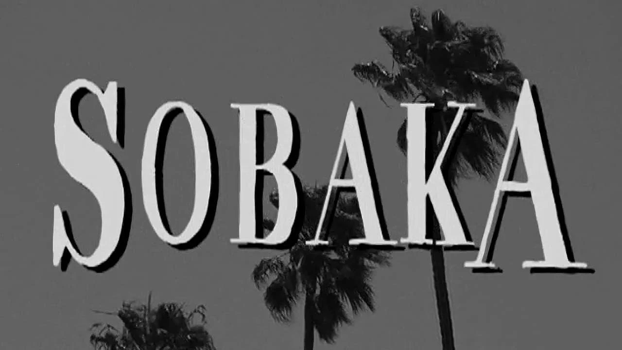 Собака