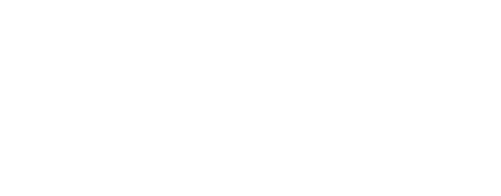 Мастер из Кламси