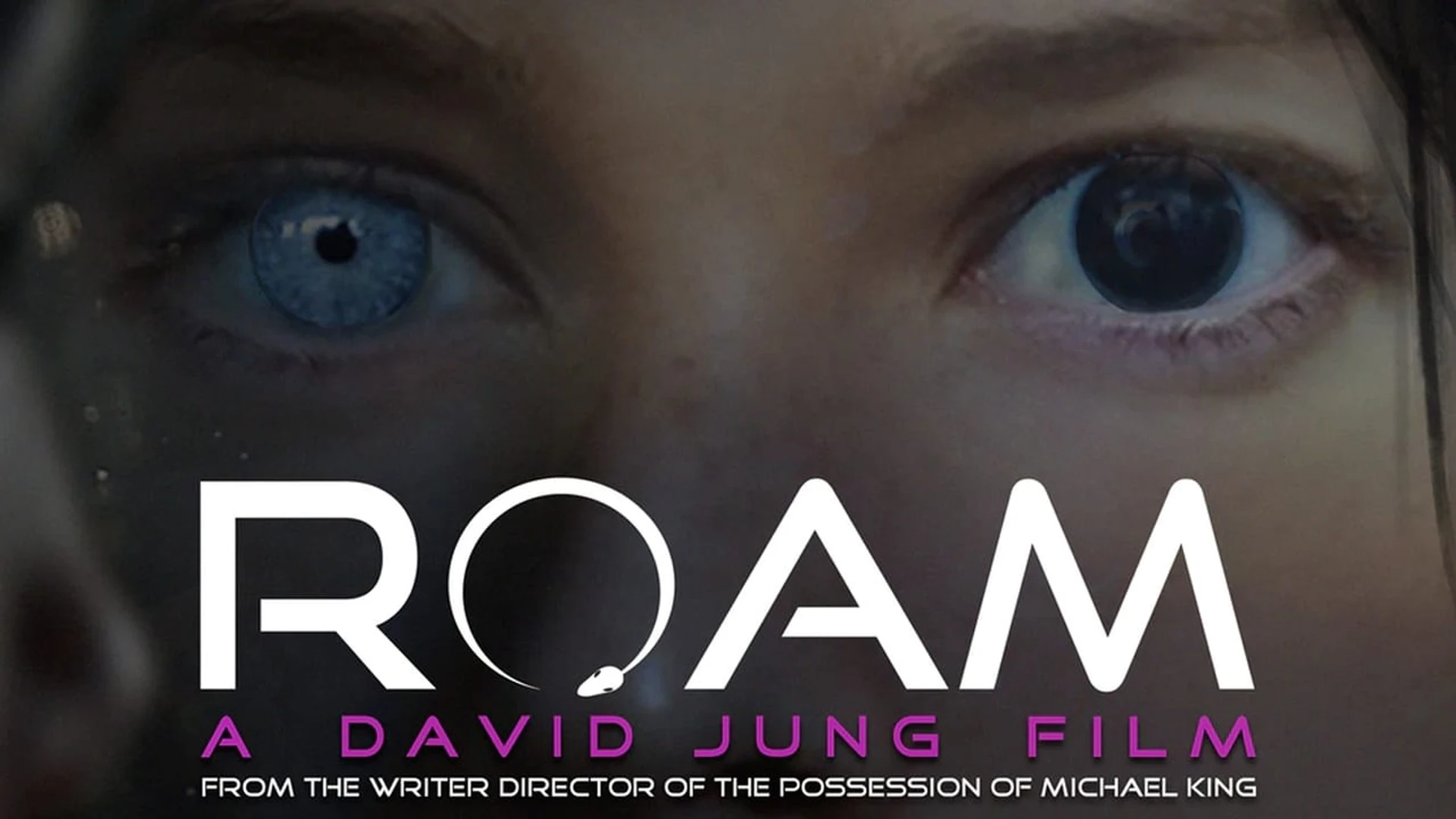 Корпорация ROAM
