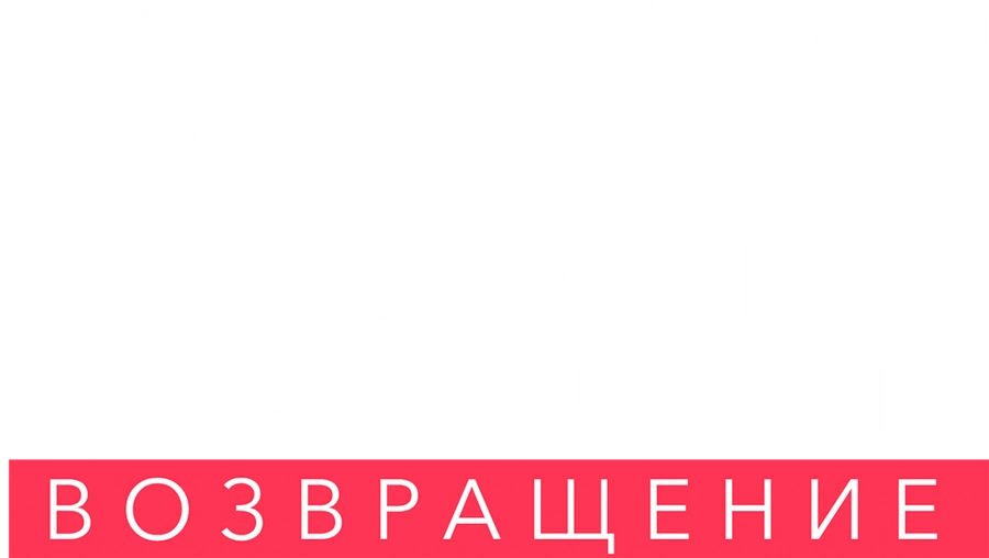 Агент национальной безопасности. Возвращение