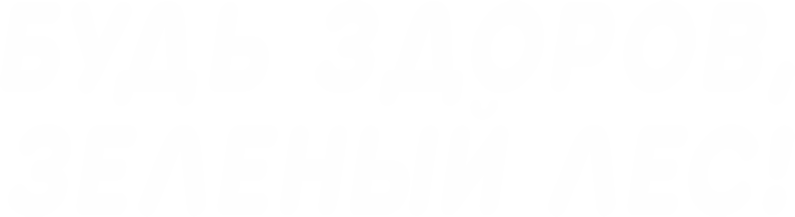 Будь здоров, зелёный лес!
