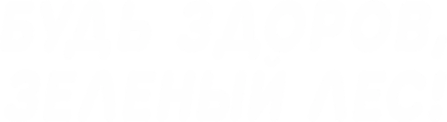 Будь здоров, зелёный лес!