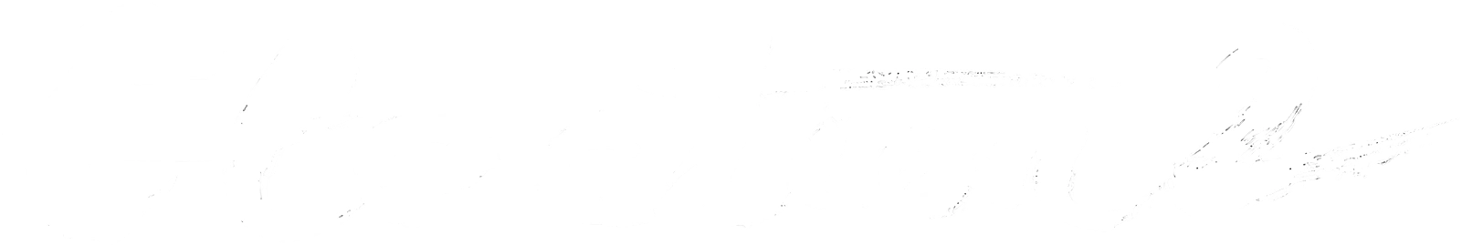 Выборы 2