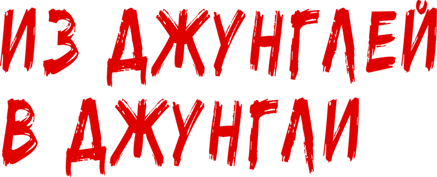 Из джунглей в джунгли