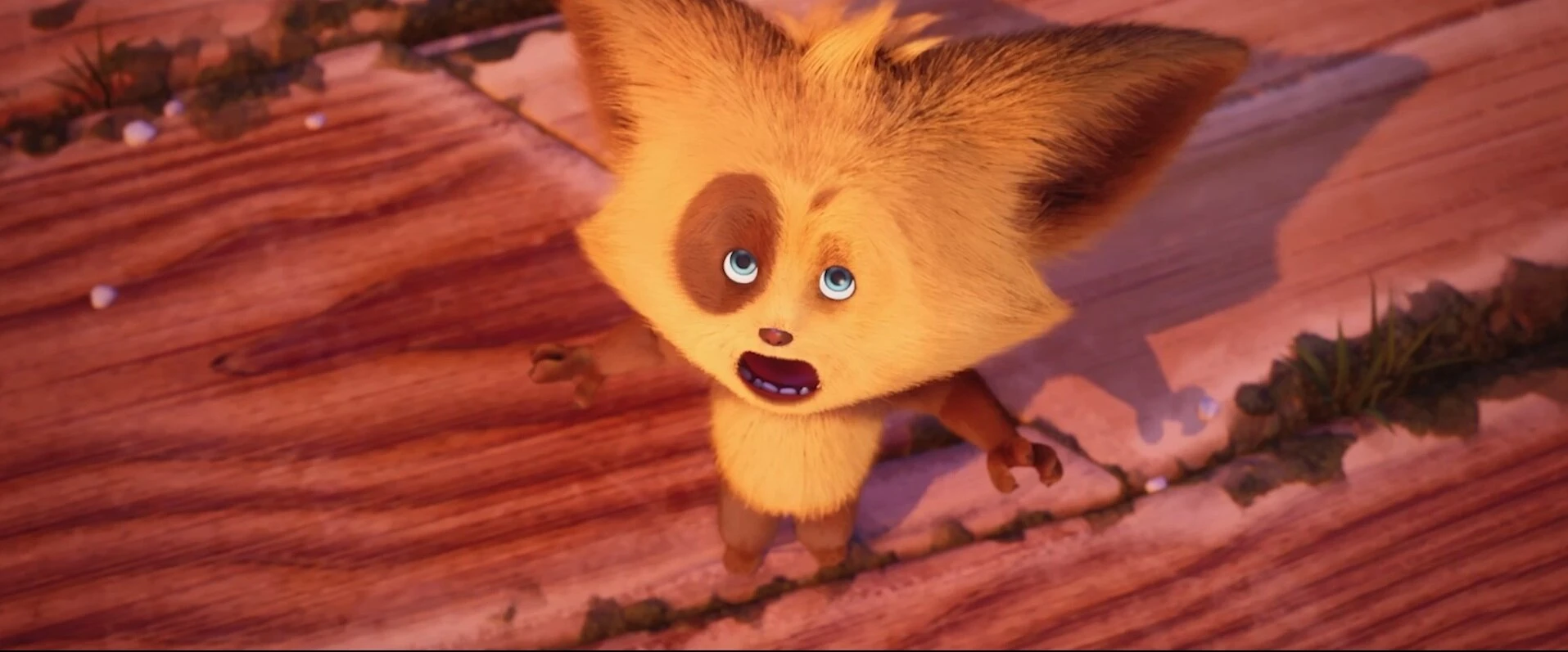 Пушистое превращение