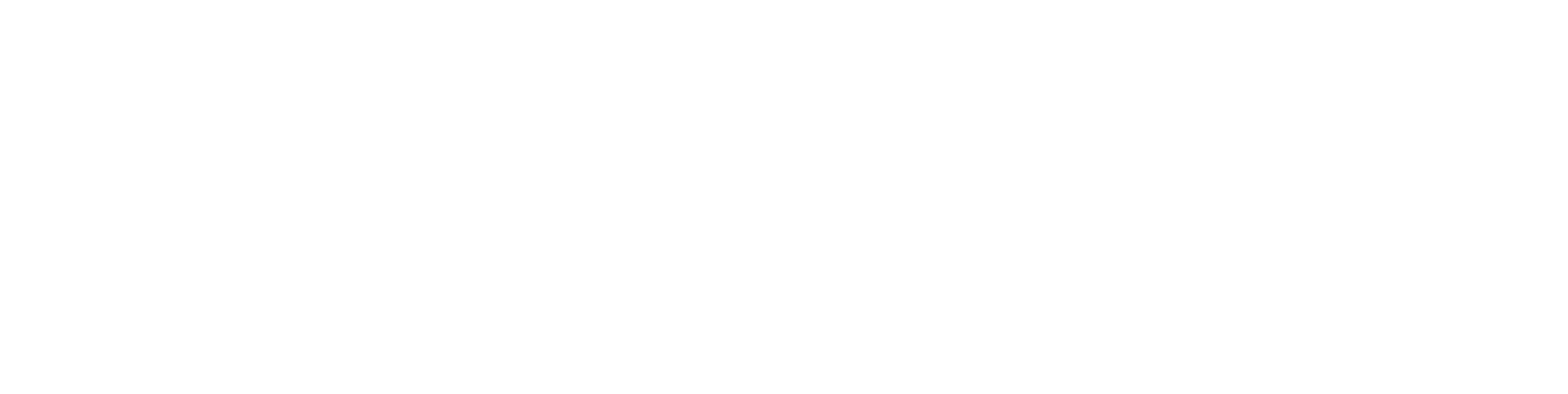 Новогодний рейс