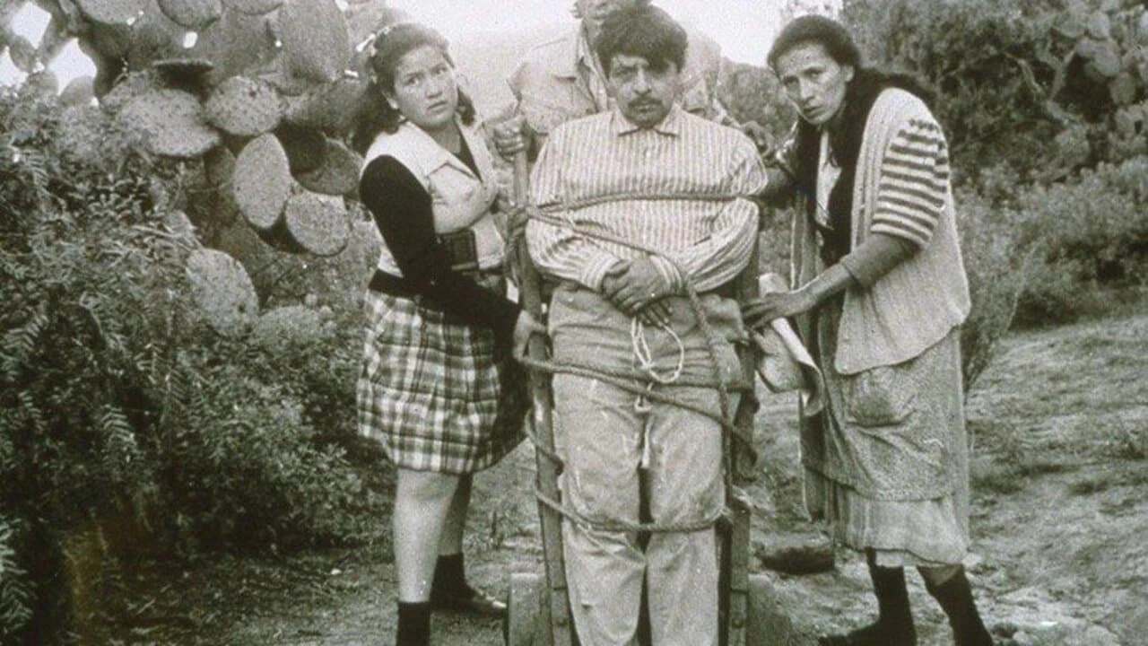 Беда всех мужчин