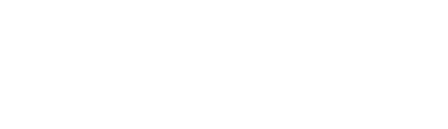 Невероятный мир глазами Энцо