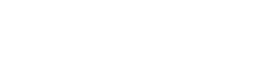 Летели два верблюда