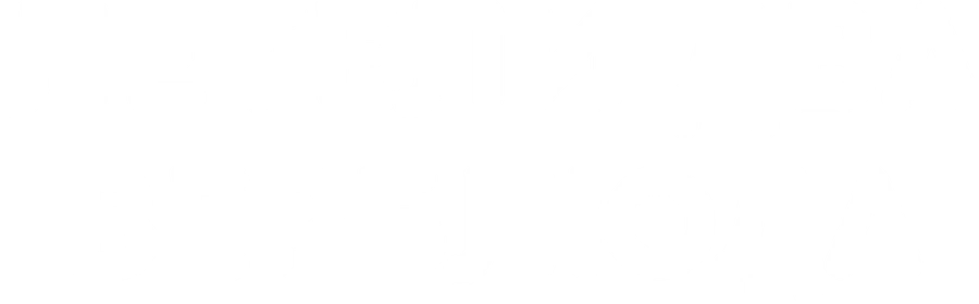 Летели два верблюда