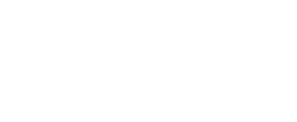 Страна советов. Забытые вожди