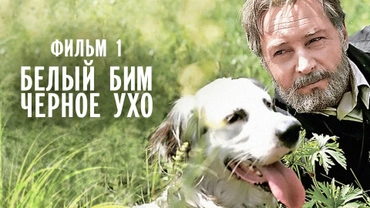 Белый Бим Черное ухо. Фильм 1