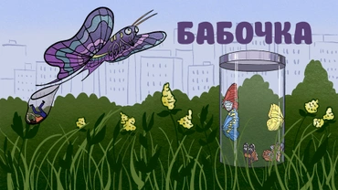 Бабочка