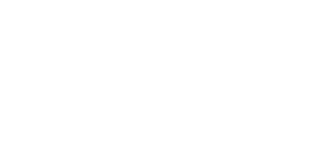 Воровка книг