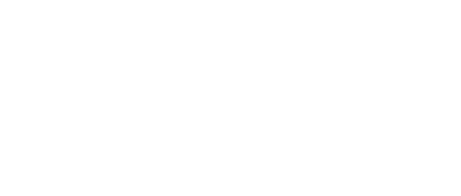 Девять ярдов 2