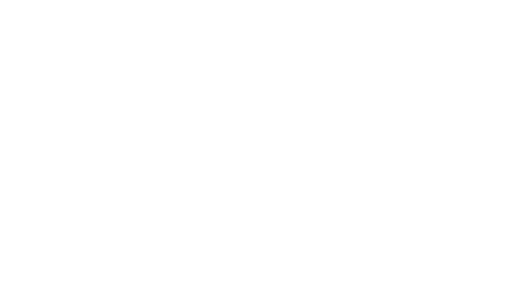 Боцман и попугай