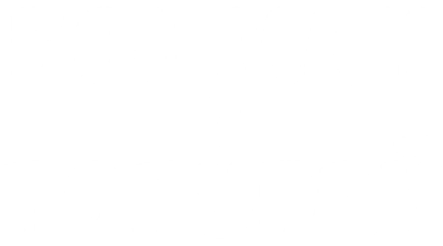 Боцман и попугай